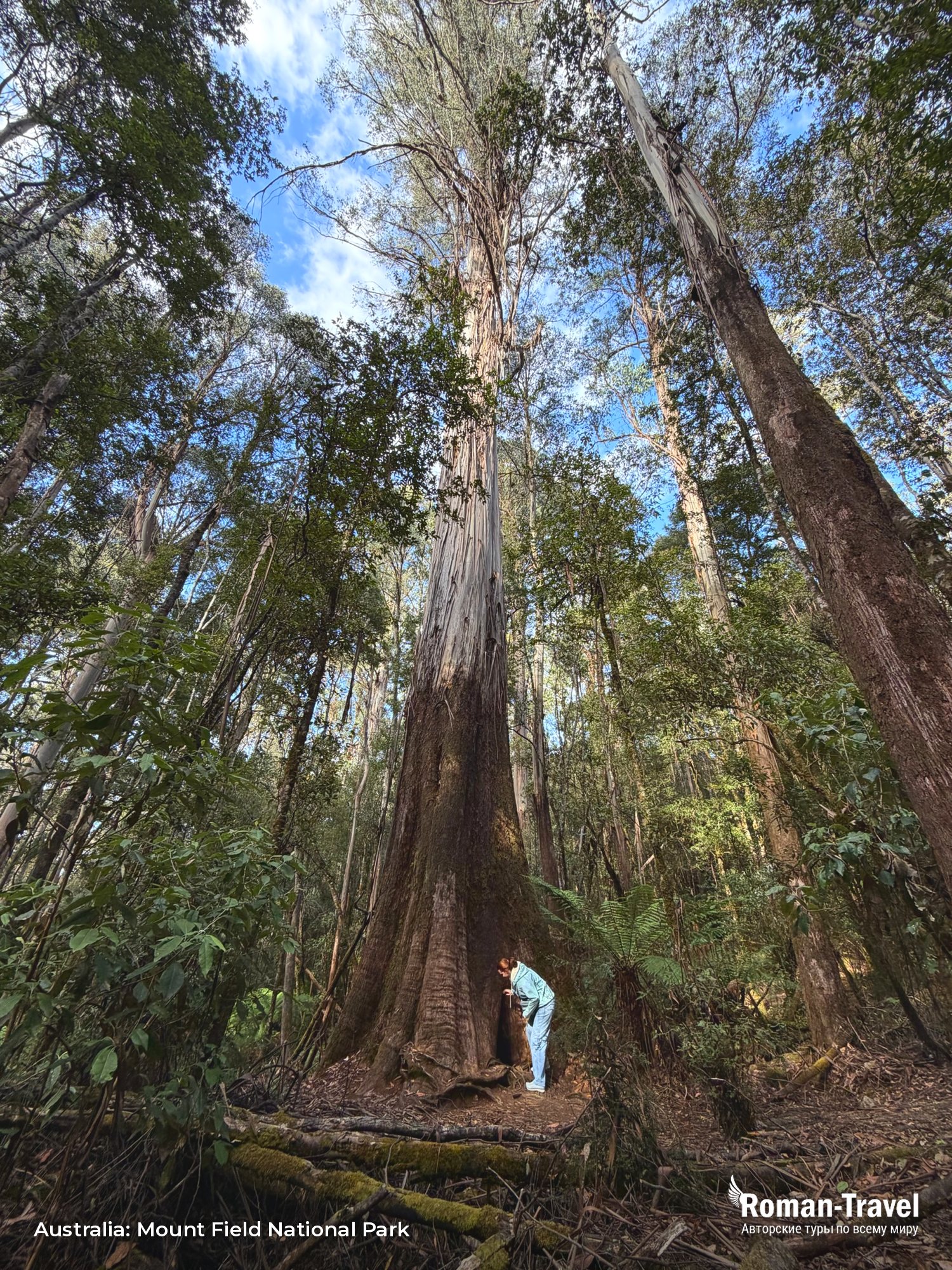 australia-mount-field-national-park