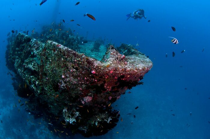 Maldive Victory