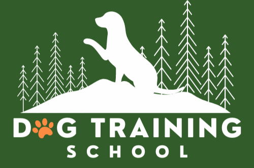 DOG TRAINING SCHOOL