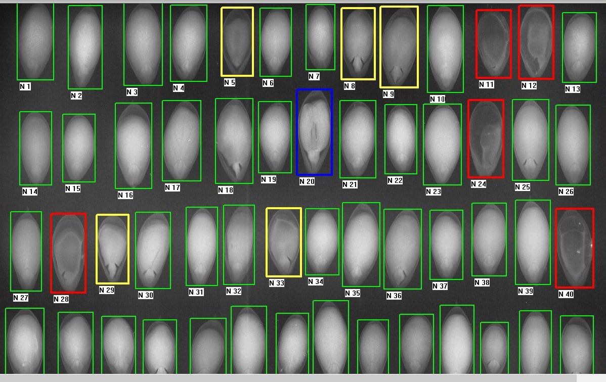 Программа автоматического рентгенографического анализа качества семян
