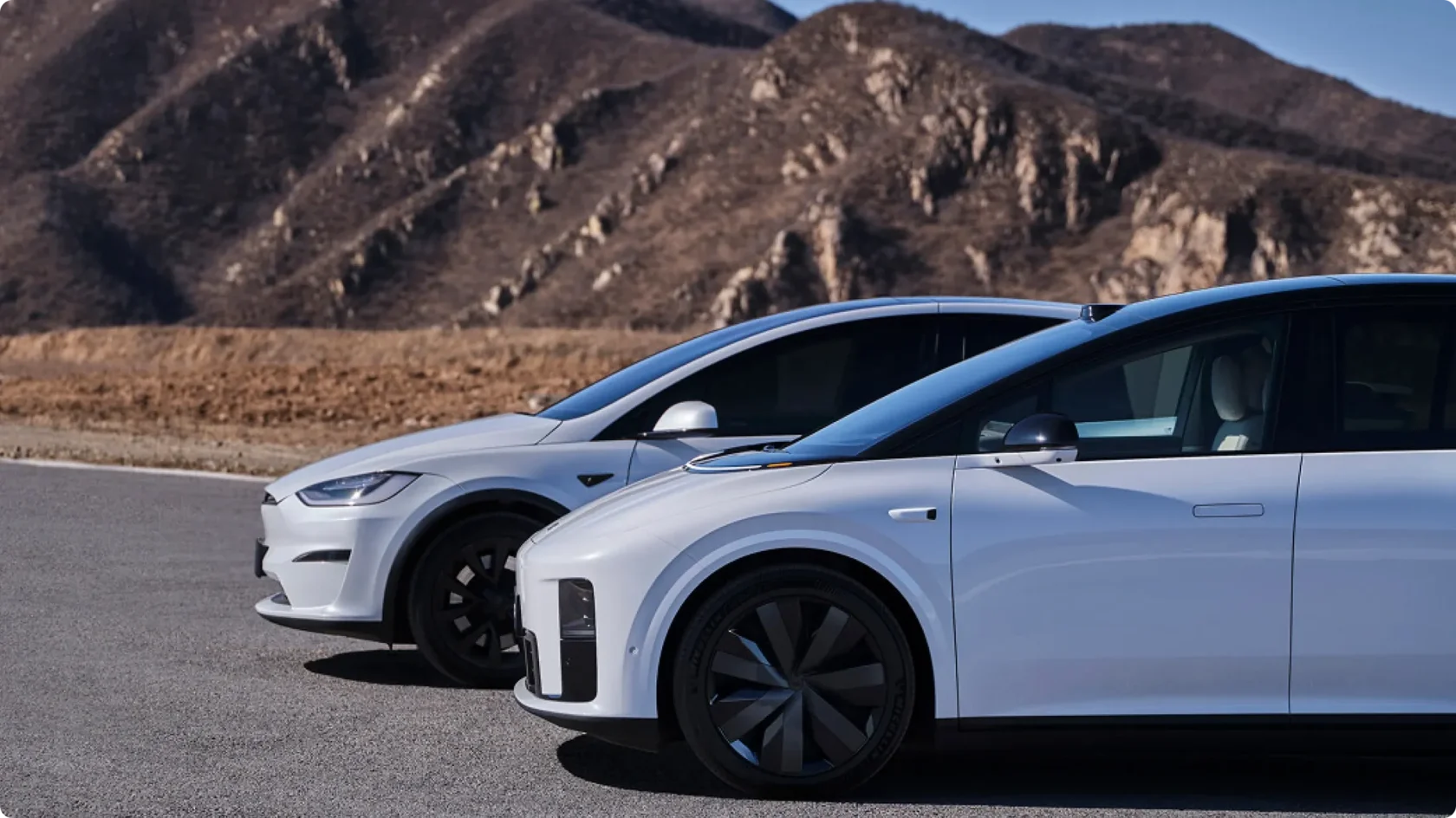 Визуальное сравнение: Tesla Model X и Li Auto i8 в белом цвете, стоят рядом на дороге на фоне гор, вид сбоку.