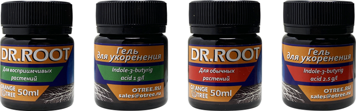 DR. ROOT