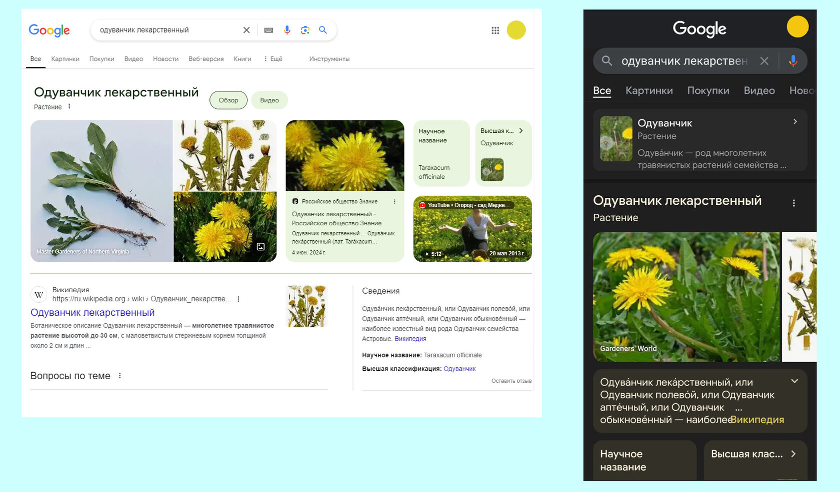 Главная страница поиска на компьютере и смартфоне