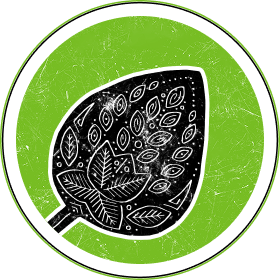 купить масло купуасу оптом, масло для шоколада, аналог какао-масла, cupuacu oil, theobroma, растительный жир для шоколада, поставщик масла купуасу, масло для кондитерки, крупный опт