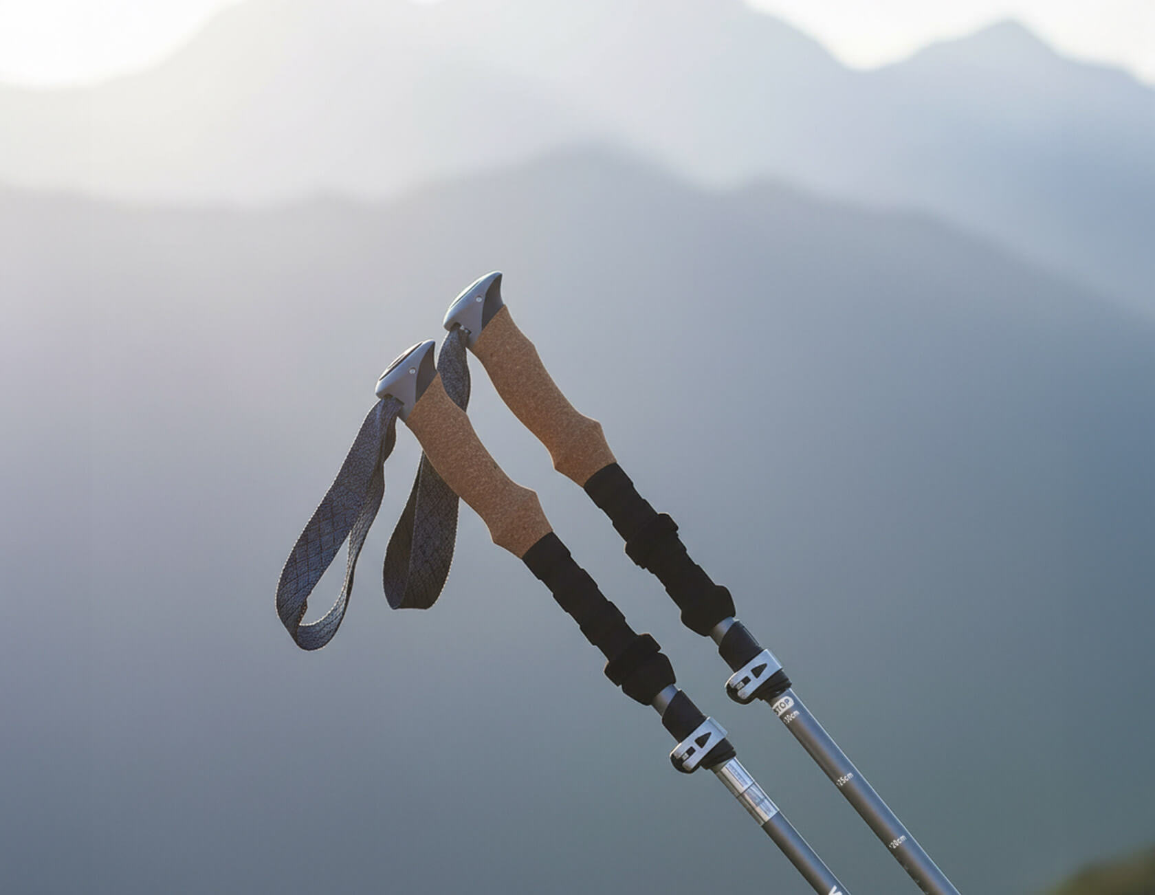 Чем отличаются палки для треккинговой и скандинавской ходьбы?