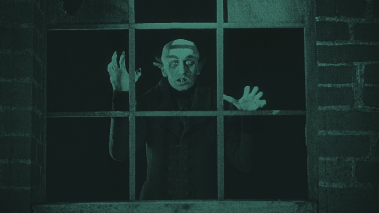 Лилейник nosferatu носферату описание зона зимостойкости