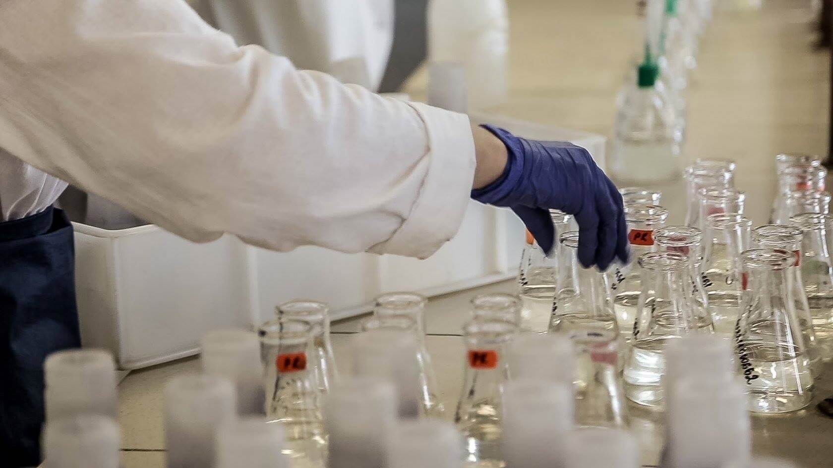 Токсикологические исследования