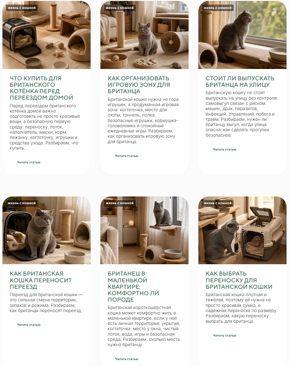 Пример для seo статей CAT ZONA