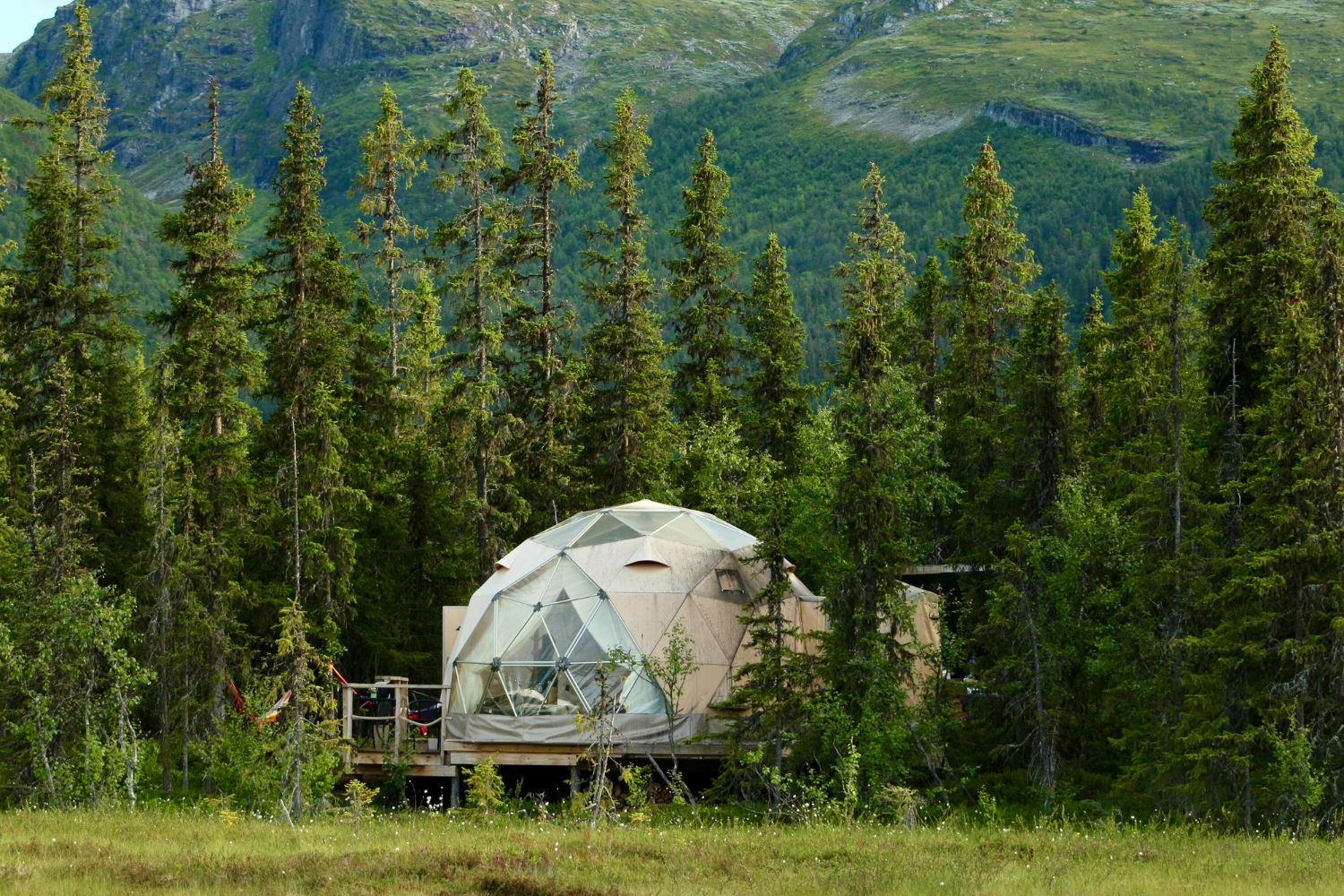 маркетолог для глэмпинга