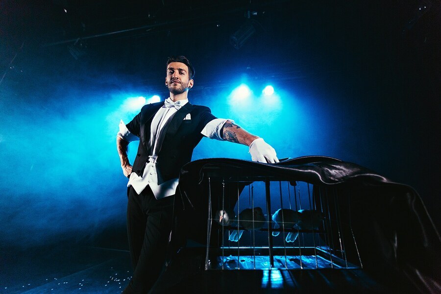 Шоу программа на праздник