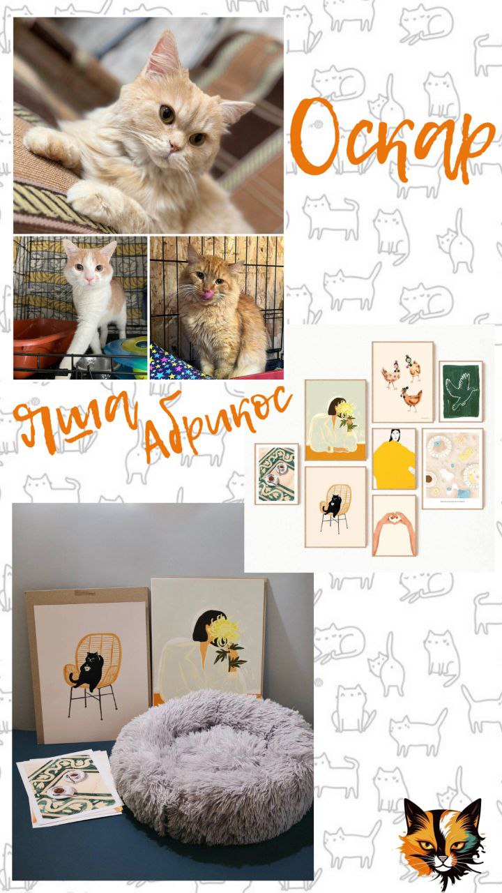 Лотерея Хвостатых соседей - Оскар, Яша и Абрикос