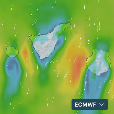 ECMWF wind layer on the Windy.app map