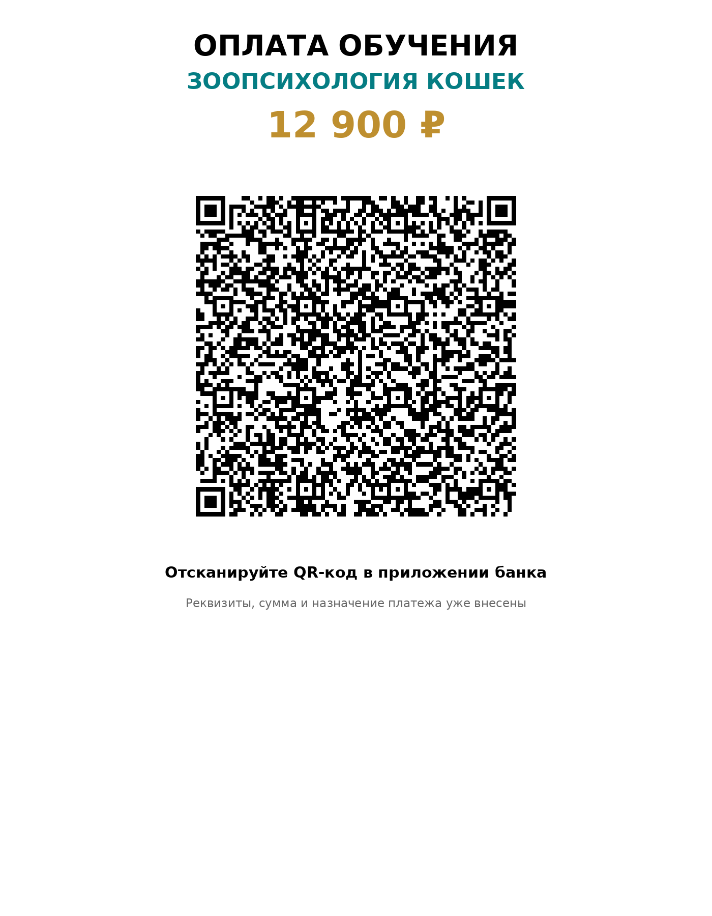 QR-код оплаты курса Зоопсихология кошек PAWID GAR