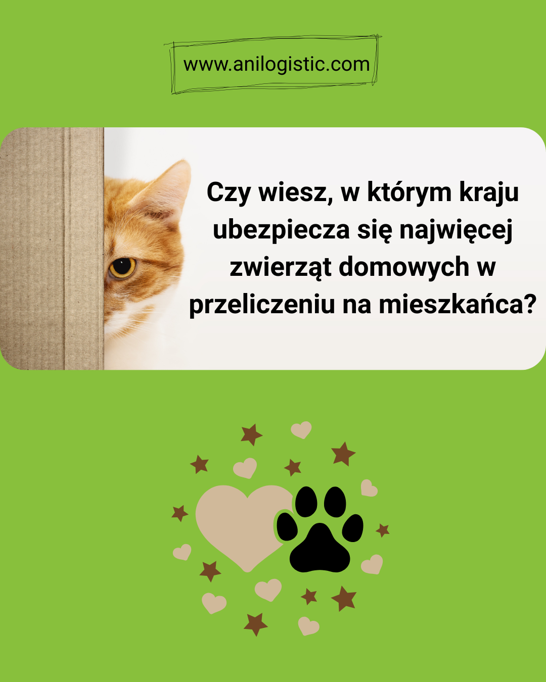 Ubezpieczenia zwierząt w Szwecji — 90% psów i 50% kotów jest ubezpieczonych