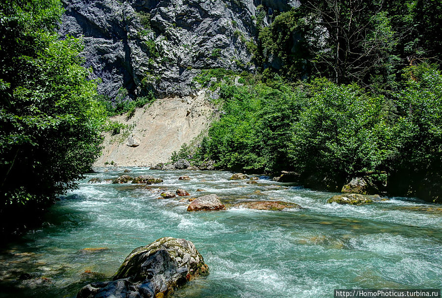 экскурсии сочи абхазия 2025 цена. Bellatour.ru