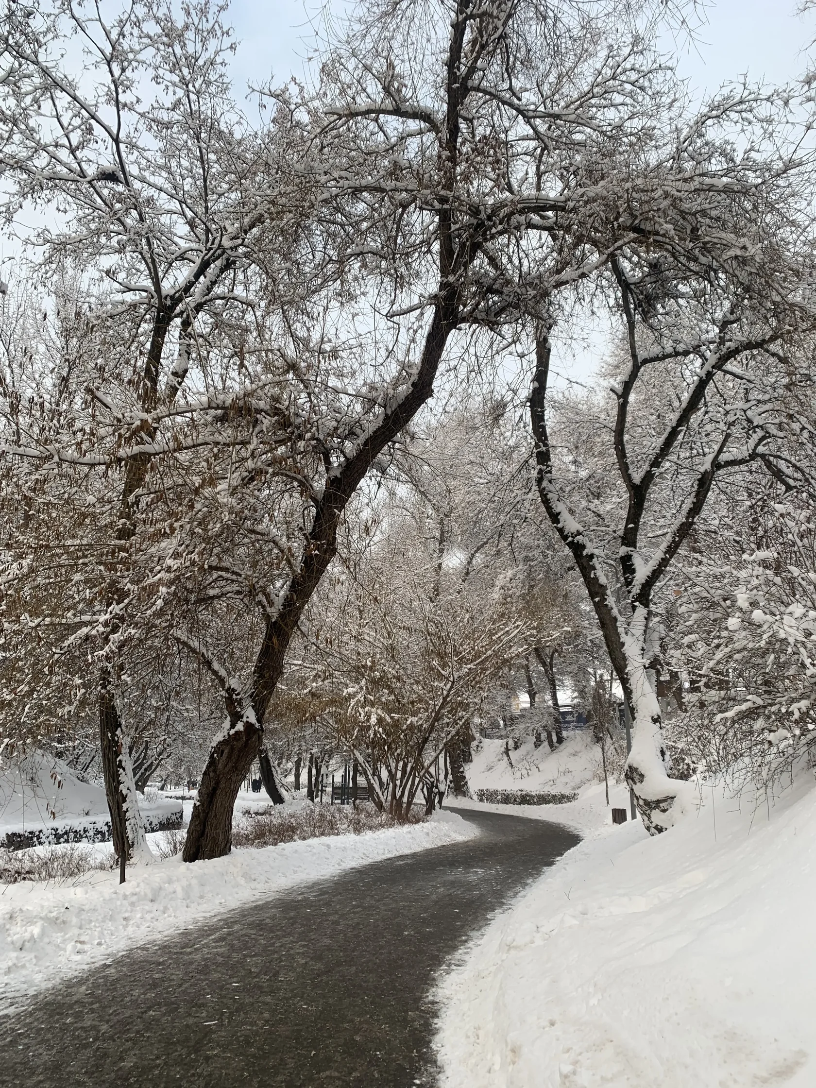 Терренкур зимой