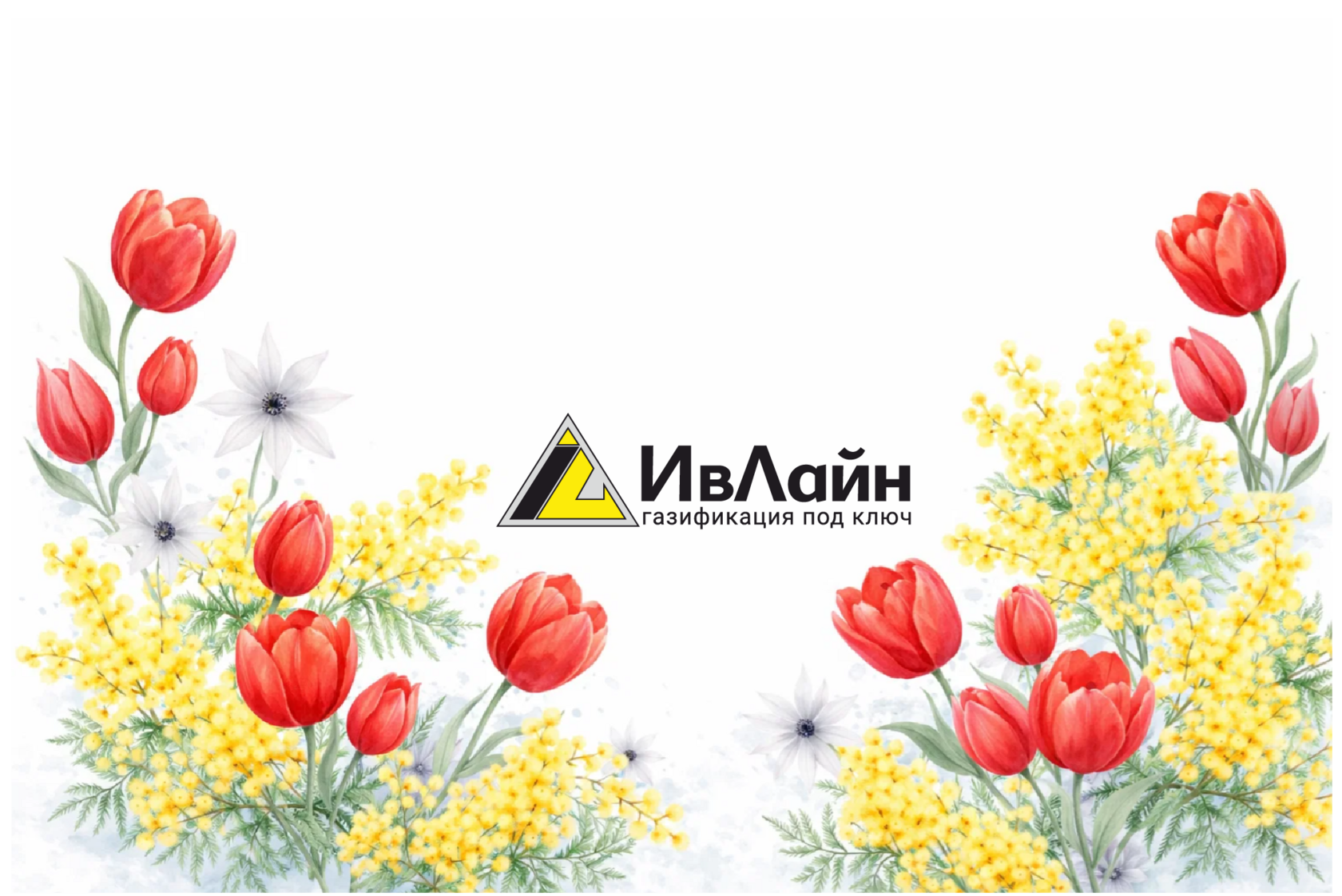 Весенние цветы и поздравление с 8 Марта — тепло и уют в доме