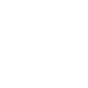 website icon