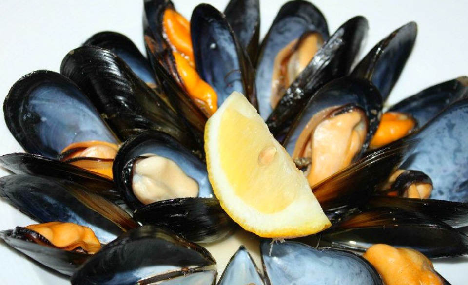 Мидия грея. Ферма мидий. Съедобная мидия mytilus edulis. Мидии туапсе. Мидии туапсе.