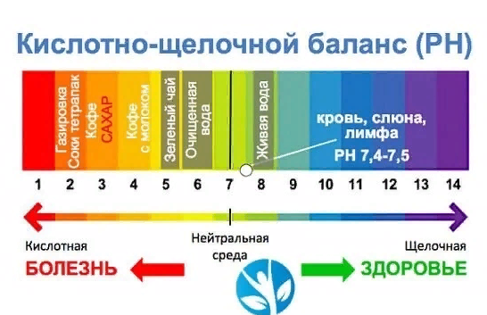 баланс pH в организме