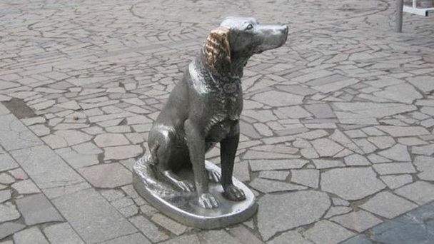 Открытие памятника Белому Биму Чёрное Ухо в Воронеже