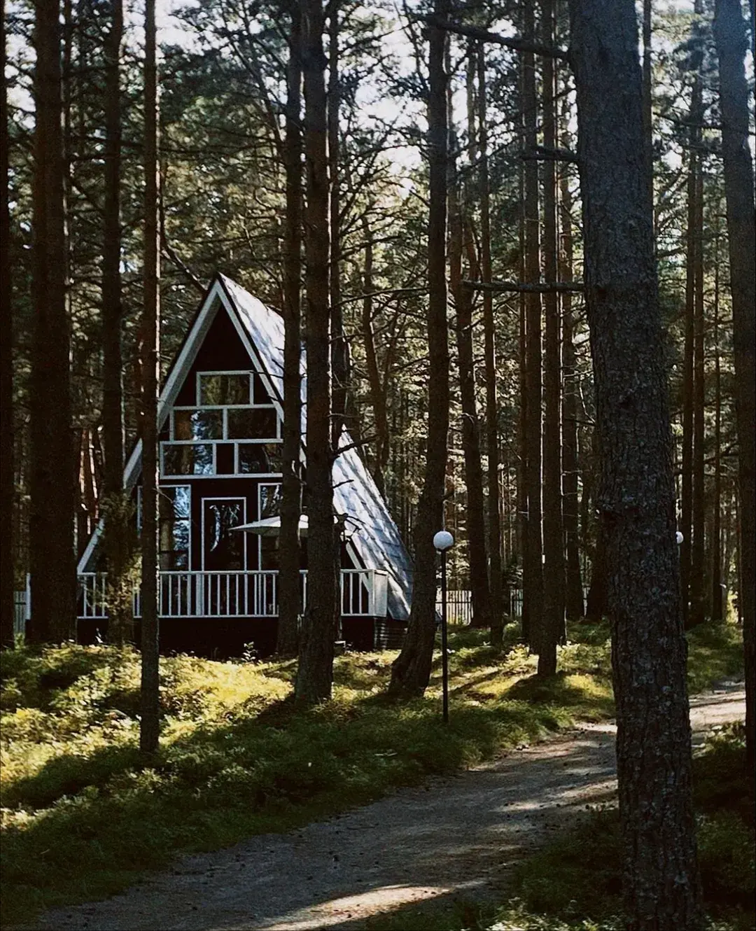 Коттедж A-Frame среди сосен у лесной дорожки