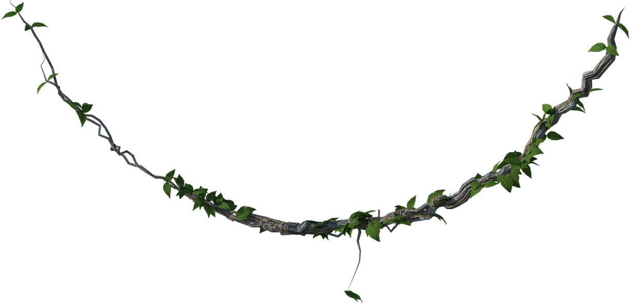 Игровое Квест-Шоу \"Остров Дискавери\"