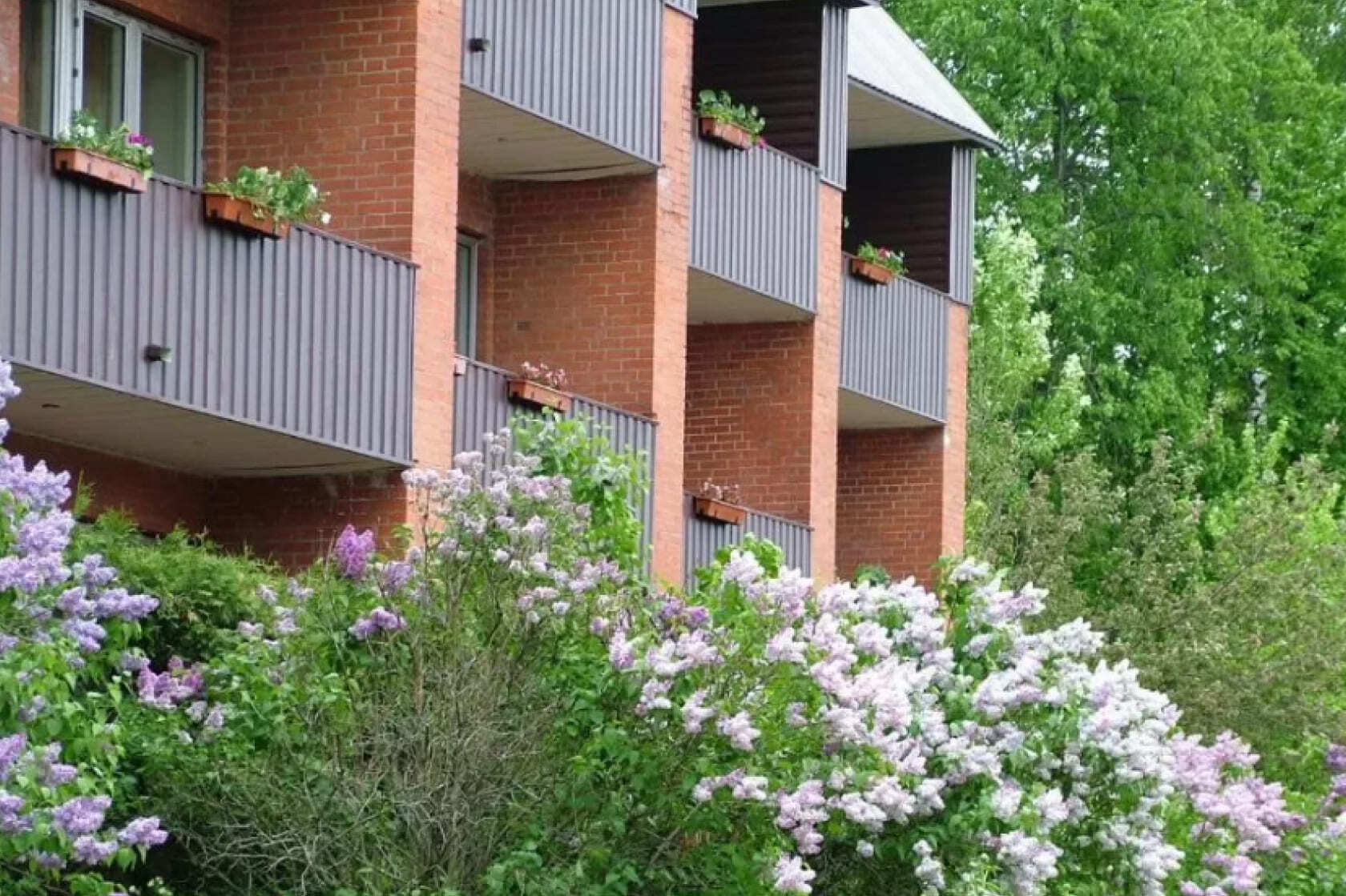 Орбита 2 дом 2. Орбита-2 санаторий фото. Орбита 2 солнечногорск. Орбита санаторий подмосковье. Орбита-2 санаторий.