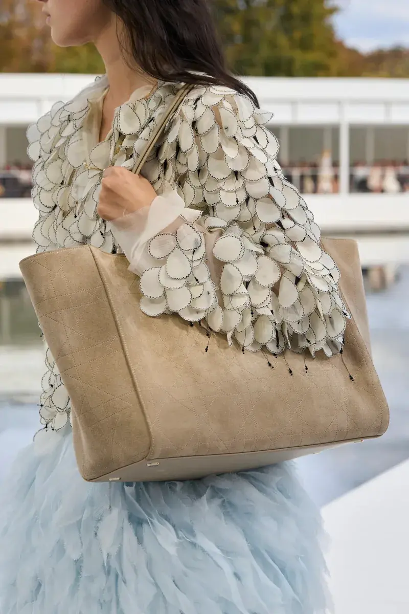 Сумки Dior Весна 2027 5