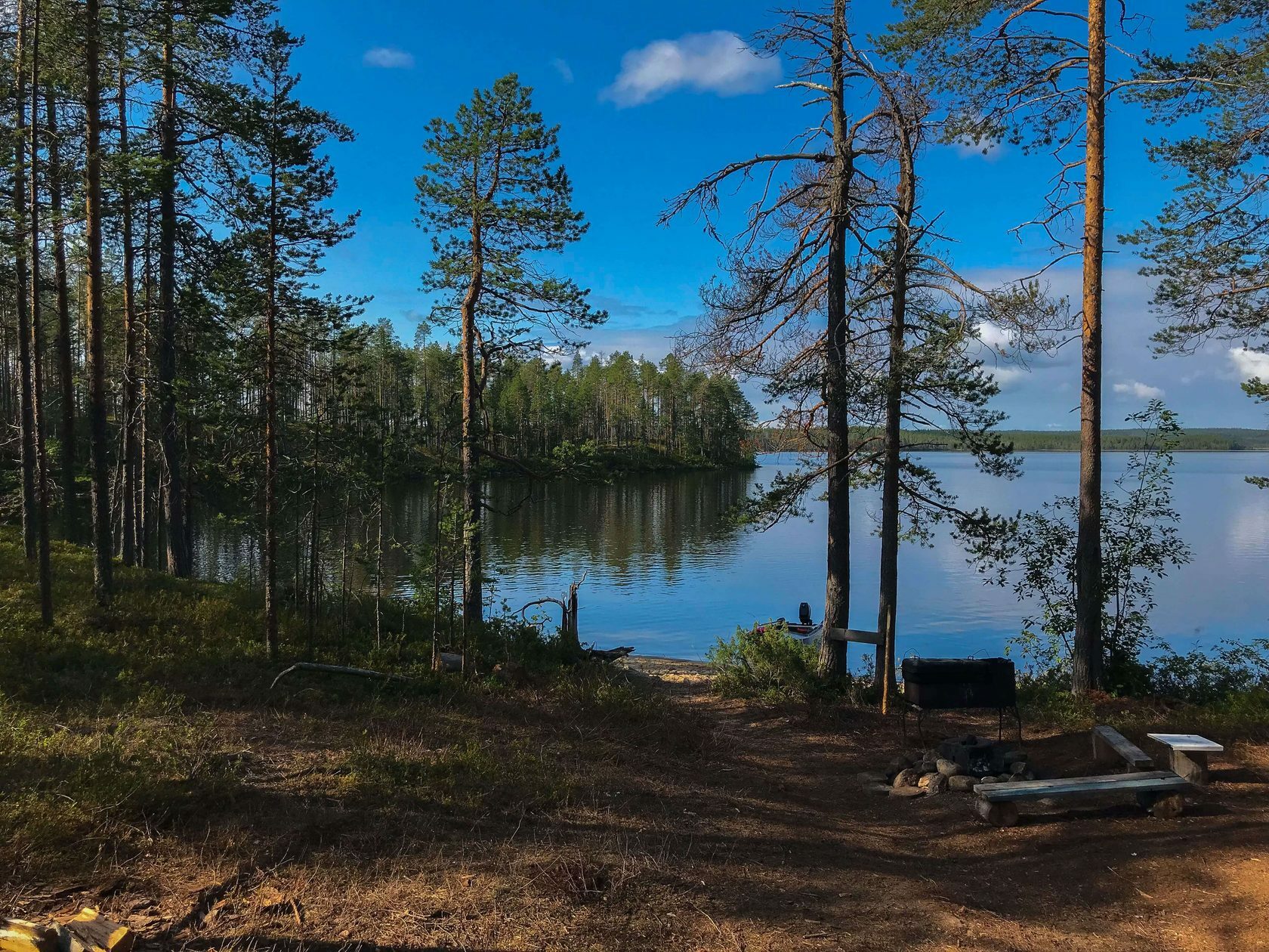 Лесные домики в Карелии